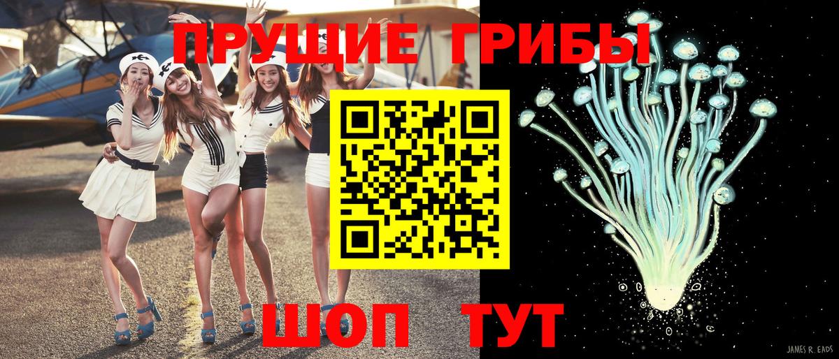 Псилоцибиновые грибы Psilocybe Домодедово