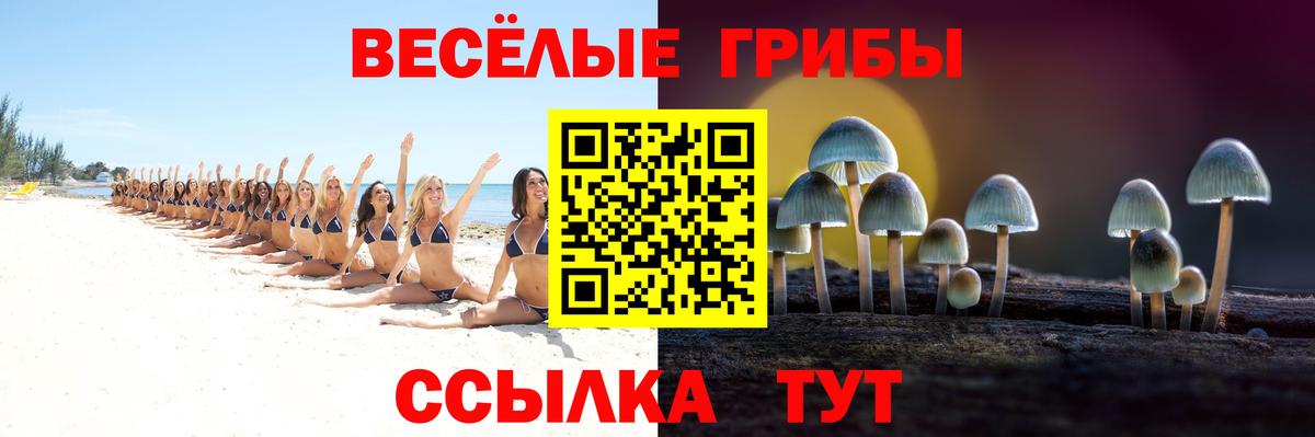 Домодедово  Галлюциногенные грибы Psilocybe  Вход с VPN 